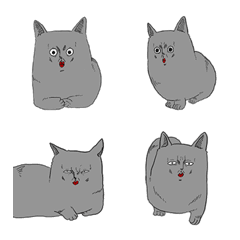 [LINE絵文字] Is this your first time seeing a cat？の画像