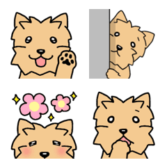 [LINE絵文字] 犬種別毎日可愛いケアーンテリア絵文字の画像