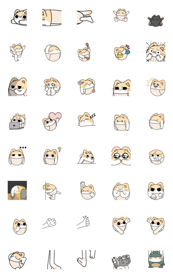 [LINE絵文字]Bao Bao Cat Animated Emoji 1の画像一覧