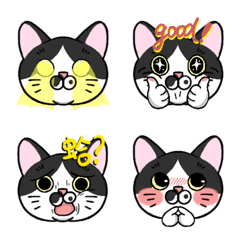 [LINE絵文字] SSR Nana cat daily lifeの画像