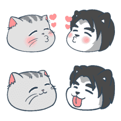 [LINE絵文字] konjoneko's animated emoji stickersの画像