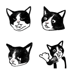 [LINE絵文字] perocat meow meowの画像