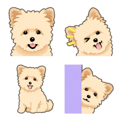 [LINE絵文字] ポメプー（犬）の画像