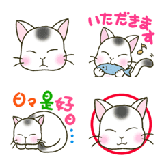 [LINE絵文字] 悟り猫タマの悟ったつもりの絵文字の画像