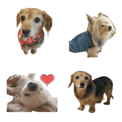 [LINE絵文字] my pretty dogs 2の画像