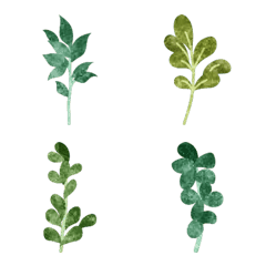 [LINE絵文字] Various Herbs and Leaves Emojiの画像