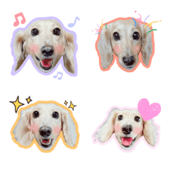 [LINE絵文字] Dachushou Dog Doudou Emojiの画像