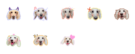 [LINE絵文字]Dachushou Dog Doudou Emojiの画像一覧