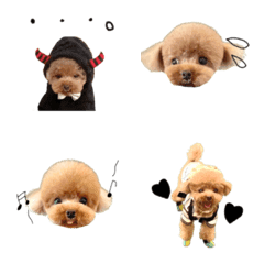 [LINE絵文字] toypoodle Kuma emojiの画像