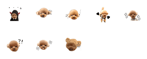 [LINE絵文字]toypoodle Kuma emojiの画像一覧