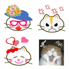 [LINE絵文字] 猫の顔面の画像