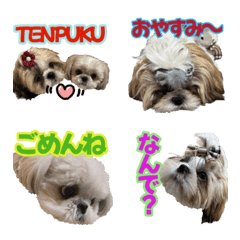 [LINE絵文字] TENPUKU BROTHERS daily lifeの画像