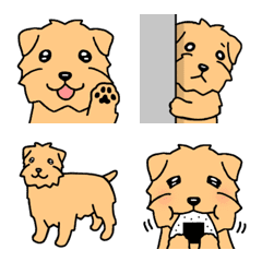 [LINE絵文字] 犬種別毎日可愛いノーフォークテリア絵文字の画像