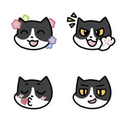 [LINE絵文字] NiniCat meme 01の画像