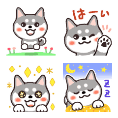 [LINE絵文字] 動く♡わくわく柴犬(黒柴)の画像