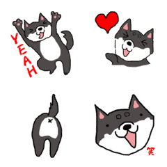 [LINE絵文字] 柴犬めいちゃんの動く絵文字の画像