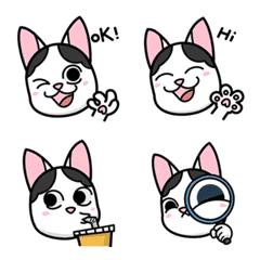 [LINE絵文字] Hana Cat's Life Faceの画像