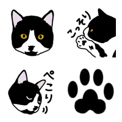 [LINE絵文字] 白黒ハチワレ猫のこっぺの画像