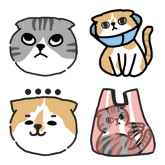 [LINE絵文字] Scottish fold lifeの画像