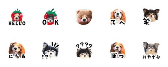 [LINE絵文字]キャバリア＆チワワ♡ここそらたん絵文字♡の画像一覧