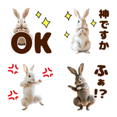 [LINE絵文字] 割りと使えるうさぎの絵文字【日常】の画像