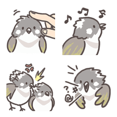 [LINE絵文字] Chinese bulbul Pupu and Chacha - Emojiの画像