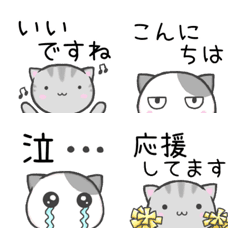 [LINE絵文字] にゃん天☆使いやすい日常敬語の画像